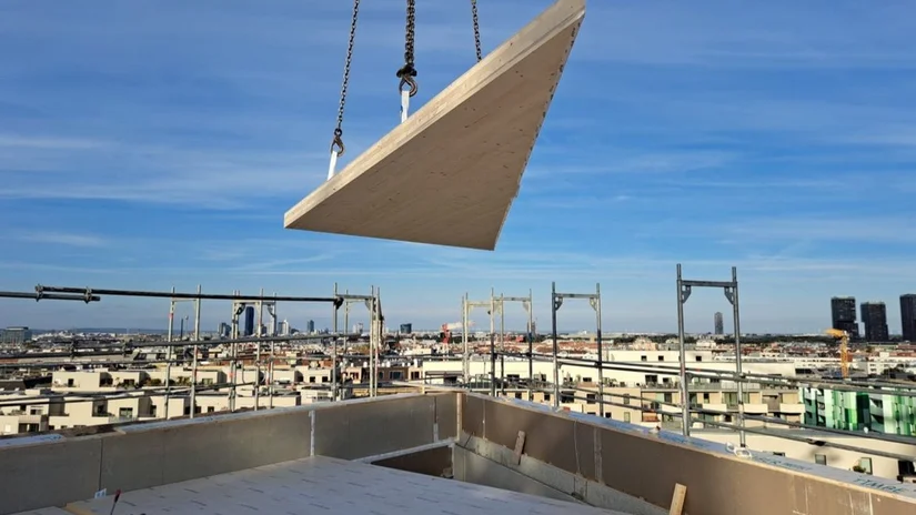 Holzelement wird mit einem Kran auf ein Dach befördert